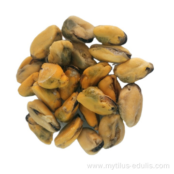 seafood frozen fresh iqf mussel meat Mytilus Edulis